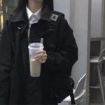 网狼中文破解版下载